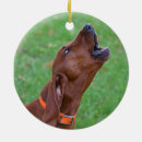 Search for coonhound christmas tree decorations Dog