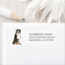 Search for bernese mountain dog return address labels Pet