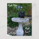 Search for birdbath Garden