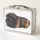 Search for guinea pig gifts Pets
