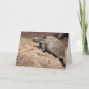 Search for you can do it cards Baby