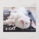 Search for love cats postcards Kitten