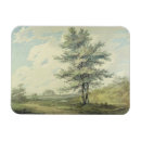 Search for joseph magnets Trees