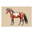 Search for spirit horse posters Western