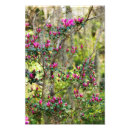 Search for azalea Green