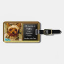Search for yorky accessories For pets