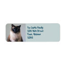 Search for siamese return address labels Cute