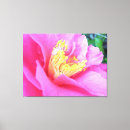 Search for dark canvas prints Pink