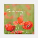 Search for poppy magnets Red