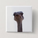 Search for invitation badges White