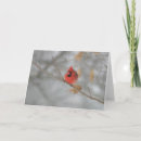 Search for solstice cards Birds