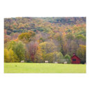 Search for hay bale Round