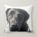 Search for black lab cushions Dogs