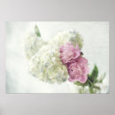 Search for blue hydrangea posters Peony