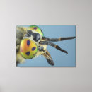 Search for compound art Animal
