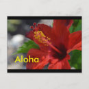 Search for hawaii postcards Aloha