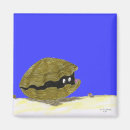Search for saltwater magnets Animals