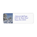 Search for sky return address labels Bright