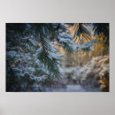 Search for snow covered trees posters Winter landscape
