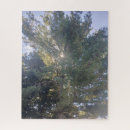 Search for sunshine puzzles Tree