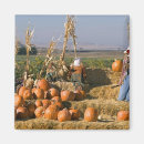 Search for displaying magnets Usa