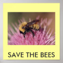 Search for save the bees posters Green