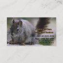 Search for infestation Pest control