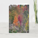 Search for colour palette cards Red