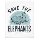 Search for elephant conservation posters Elephants