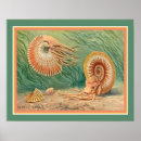 Search for shellfish posters Ocean
