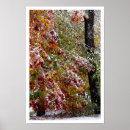 Search for early posters Trees