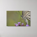 Search for swallowtail art Horizontal