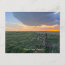 Search for texas postcards Beautiful