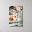 Search for tiger head canvas prints Nature