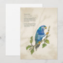 Search for lorikeets cards Wildlife