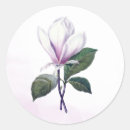 Search for magnolia flower stickers Floral