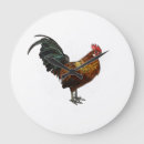 Search for cockerel clocks Feather