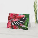 Search for zebra christmas cards Red