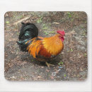 Search for roos mousepads Chicken