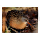 Search for railing cards Nature