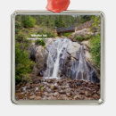 Search for hunt christmas tree decorations Nature