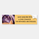 Search for pets bumper stickers Shelter
