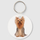 Search for yorkies round key rings Puppies