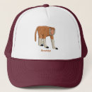 Search for cartoon monkey hats Funny