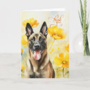 Search for belgian cards Dog