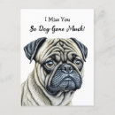 Search for much postcards Dog