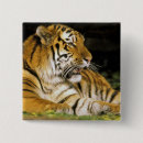 Search for tiger eye badges North america