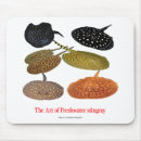 Search for freshwater mousepads River