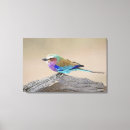 Search for years canvas prints Birds around the world