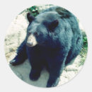Search for two bears stickers Wild